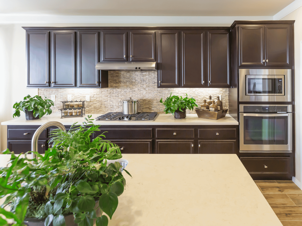 a modern kitchen refit with dark painted cabinets and a light quartz worktop. There are several green plants on the surfaces.